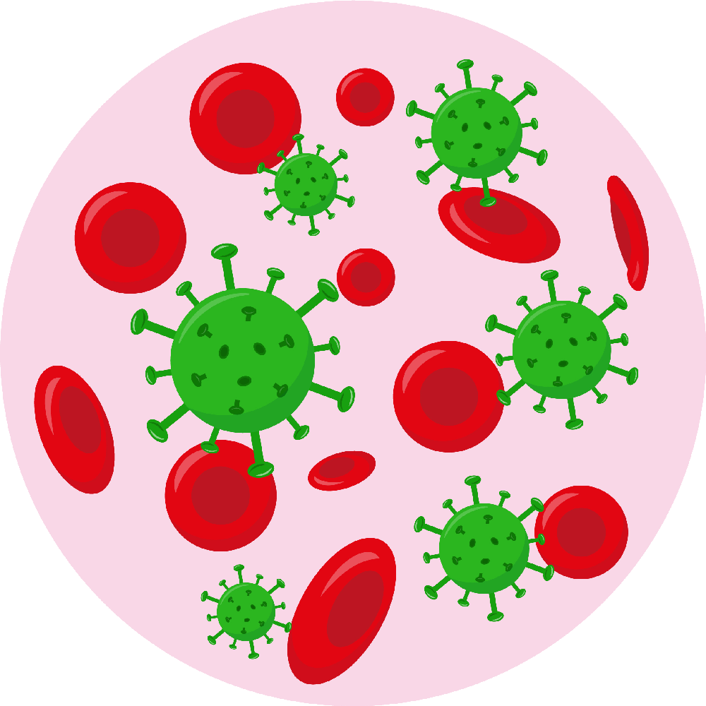 Blood Borne Viruses